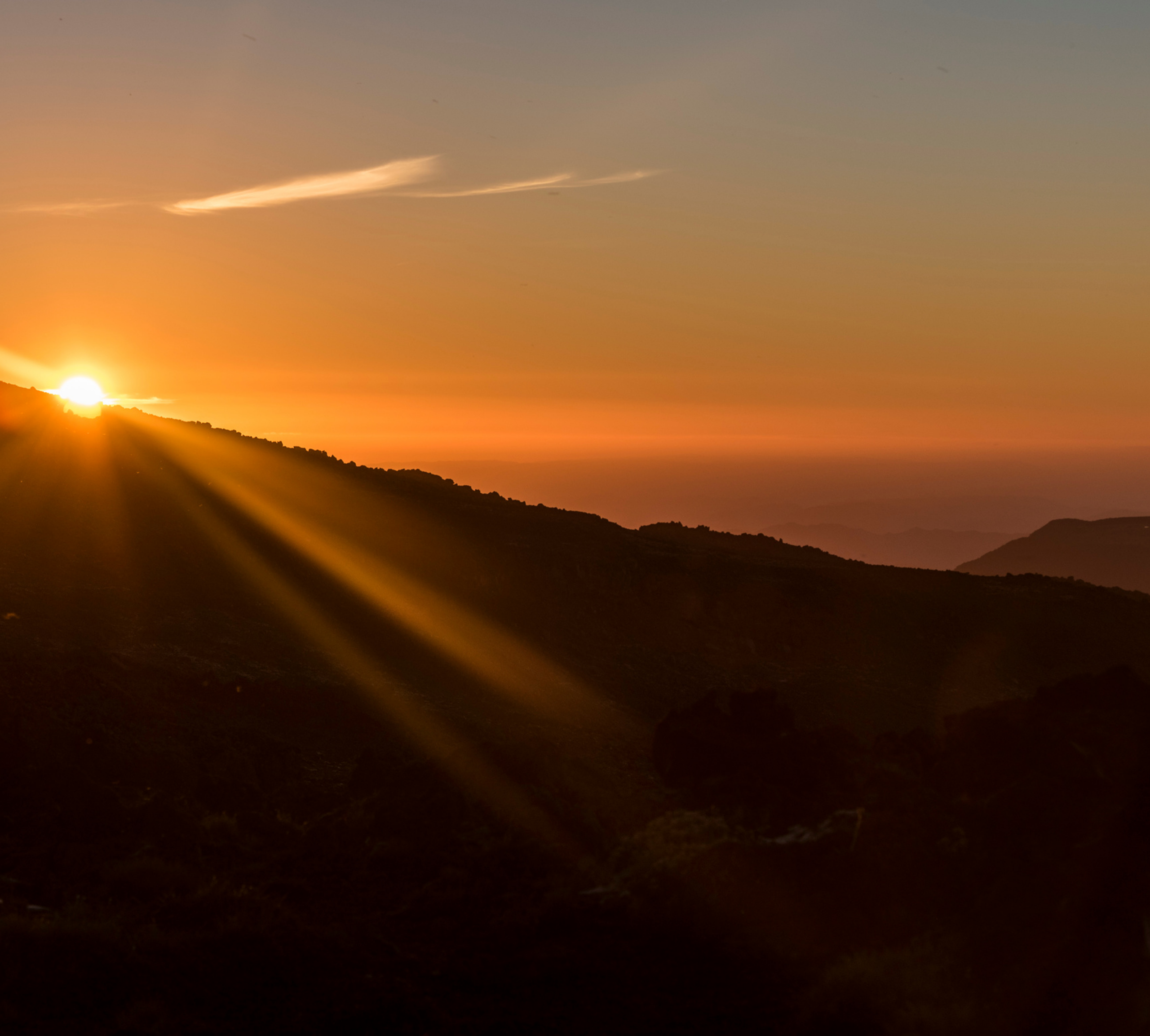 Rise in Glory